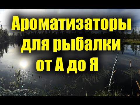 Видео: Ароматизаторы для рыбалки от А до Я