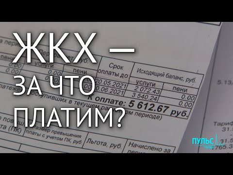 Видео: Долги и полная неразбериха! Петербуржцы получили новые квитанции за ЖКУ