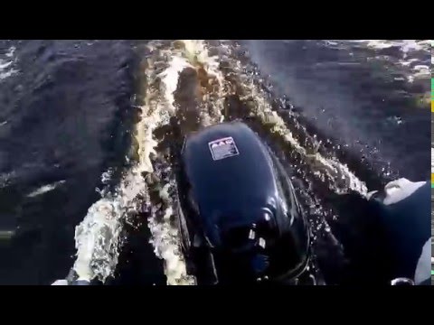 Видео: SOLAR 380 + SUZUKI DF 9.9 BS(инжектор),раздушен без прошивки ЭБУ,отсечка на 43-45 км/ч