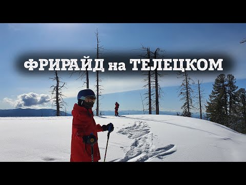 Видео: Есть ли фрирайд на Телецком? Спуск по лесу на горных лыжах в поисках проездов.