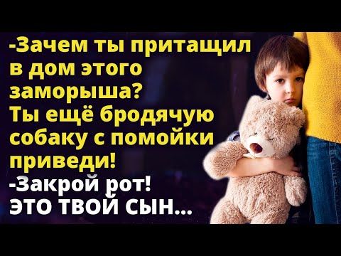 Видео: Зачем ты притащил его в дом? Ты ещё бродячую собаку с помойки приведи! Истории любви до слез