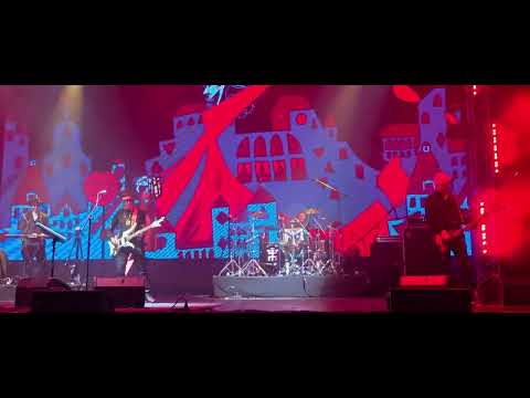 Видео: Пикник - Из мышеловки. Воронеж  01.11.24 #ЭдмундШклярский