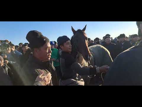 Видео: Ат шабыс 2 болим.