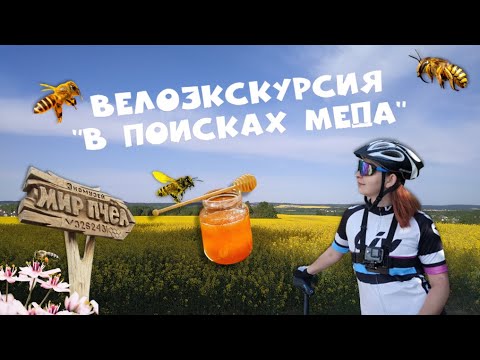 Видео: Велоэкскурсия "В поисках мёда"