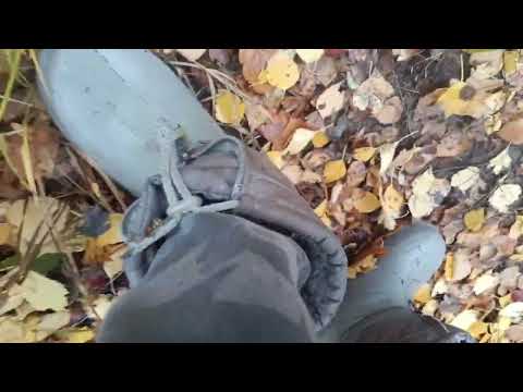 Видео: Прогулка в деревне 