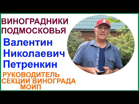 Видео: Виноградник руководителя секции виноградарства МОИП Валентина Николаевича Петренкина.