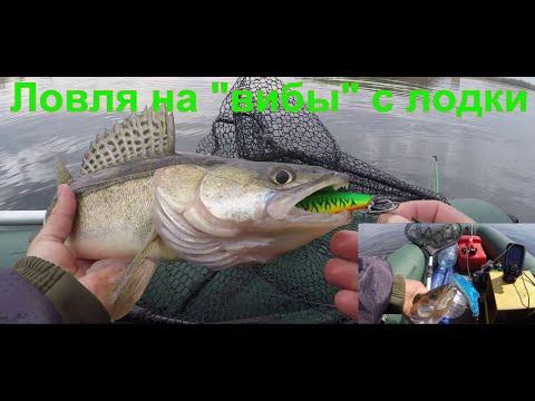 Видео: ЛОВЛЯ СУДАКА НА "ВИБЫ И РАТЛИНЫ" С ЛОДКИ. 27.04.2022.