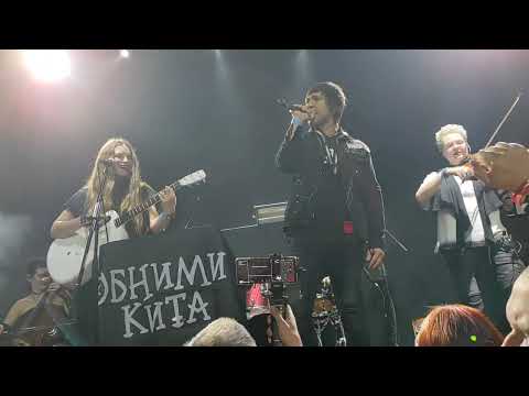 Видео: Ты для меня (Обними кита 29.11.2024) ft. Обе-рек