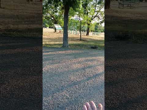 Видео: Побег с Учебки,СЗЧ(история как я попал в армию)