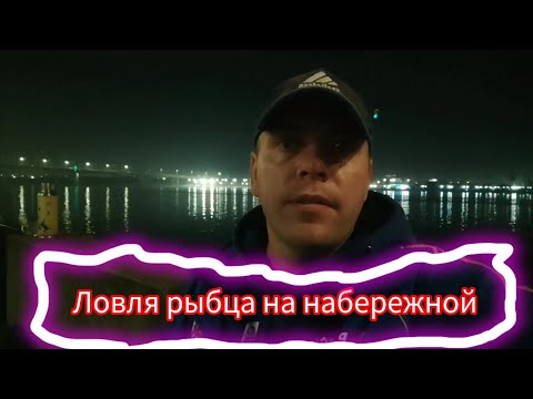 Видео: Ловля рыбца на набережной! Ловля рыбца на Дону!