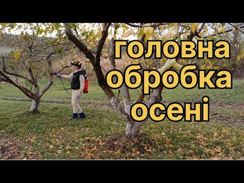 Видео: Обробка саду в листопаді.