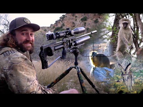 Видео: Рай для мелкой дичи: охота с пневматическим оружием в Бавиаансклуфе! (Эпизод 3)