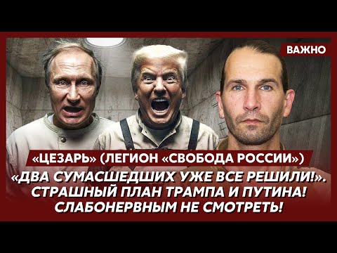 Видео: Легендарный «Цезарь». Срочно! Мы за вами идем! Экстренное обращение к Путину!