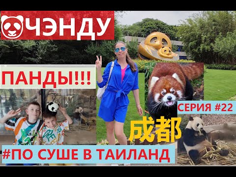 Видео: КИТАЙ ЧЭНДУ 成都 🐼 СЕРИЯ #22 КАК ДОБРАТЬСЯ В ЗАПОВЕДНИК ПАНД НА БАЗУ ПАНД ЧЭНДУ ЕДЕМ ПО СУШЕ В ТАИЛАНД