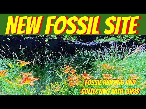 Видео: Новый участок ископаемых. Поиск и сбор ископаемых с Крисом. Трилобиты и головоногие моллюски.
