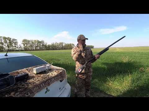 Видео: Benelli Montefeltro. Дробь №3 чок Gemini против РДУ.