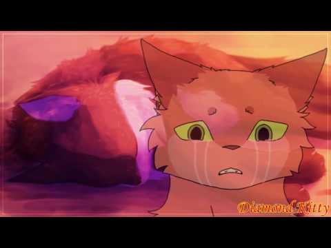 Видео: Огнегрив(Огнезвёзд) и Пестролистая/Fireheart(Firestar)&Spottedleaf - Любви точка нет