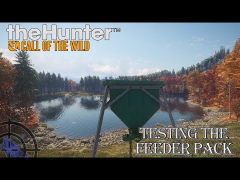 Видео: Тестирование набора Feeder Pack | Зов дикой природы от Hunter