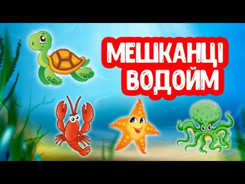 Видео: Мешканці Водойм відео для дітей