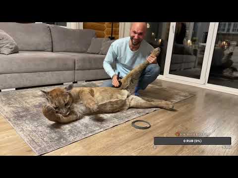 Видео: Прямой эфир. 2 ноября