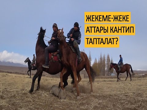 Видео: Жекеме-жеке саяпкерлери сыр ачат.