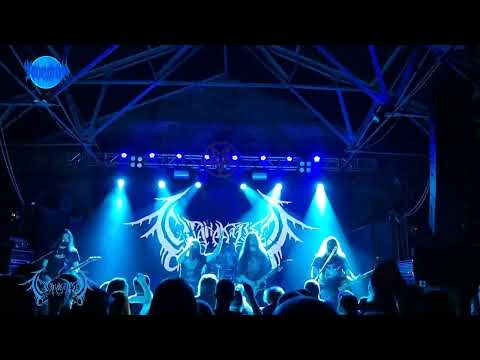 Видео: САТАНАКОЗЁЛ  - КАРЕЛИЯ, ДОРОГА, КУЗНЕЦ