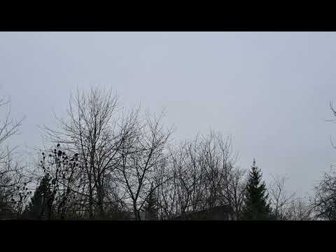 Видео: Черные Скрижали и Пять Законов Заклинателей Магрибских Колдунов.