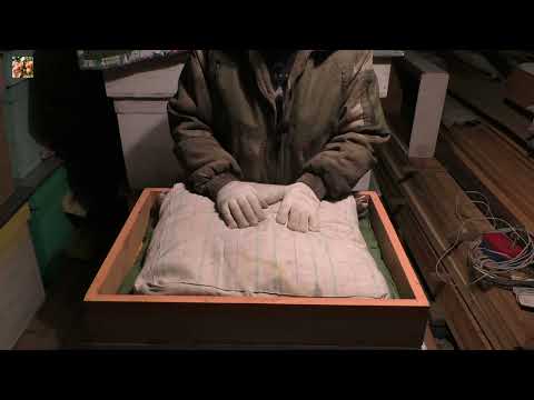 Видео: Как весной спасти слабую семейку?!