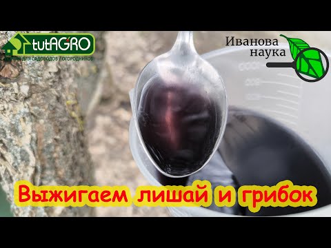 Видео: ЭТОТ РАСТВОР ВЫЖИГАЕТ ЛИШАИ, ГРИБОК, ВСЮ ИНФЕКЦИЮ и ПАРАЗИТОВ за 1 РАЗ!