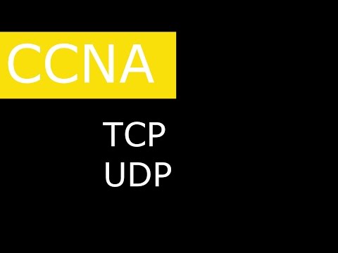 Видео: TCP и UDP