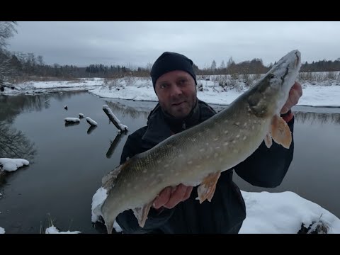 Видео: ТАК НЕ БЫВАЕТ ! РАЗДАЧА ПРОДОЛЖАЕТСЯ ! ЛОВЛЯ ЩУКИ НА СПИННИНГ ! РЫБАЛКА ЗИМОЙ НА МАЛОЙ РЕКЕ !