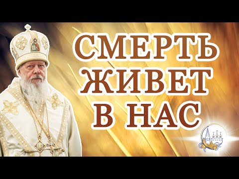 Видео: Смерть живет в нас