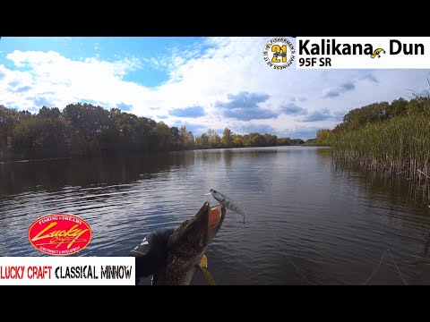 Видео: Два воблера сделали отличную рыбалку. Lucky Craft Classical Minnow и Pontoon 21 Kalikana Dun.