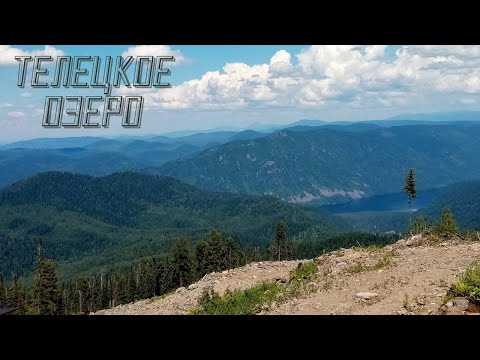 Видео: ТЕЛЕЦКОЕ ОЗЕРО, ГОРНЫЙ АЛТАЙ. ГЛАВА 1. ОБЗОР ДОСТОПРИМЕЧАТЕЛЬНОСТЕЙ ЛЕТОМ 2023 Г.