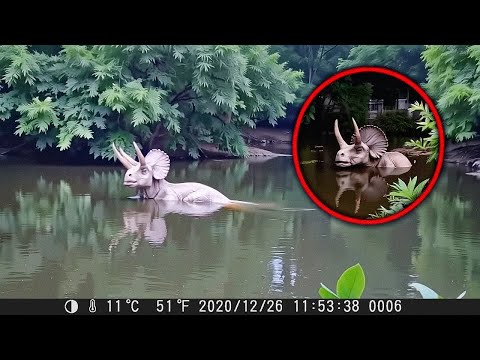 Видео: Как ТАКОЕ ВОЗМОЖНО!? 50 Вымерших Существ, Снятых на Камеру ЖИВЫМИ
