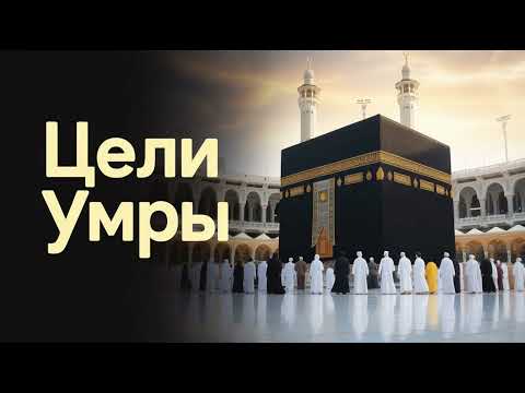 Видео: цели умры
