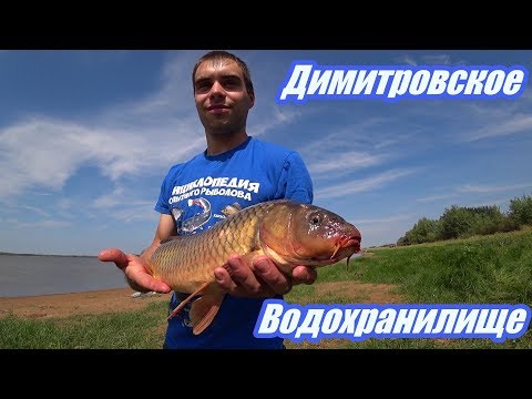 Видео: ДИМИТРОВСКОЕ ВОДОХРАНИЛИЩЕ DIMITROV RESERVOIR