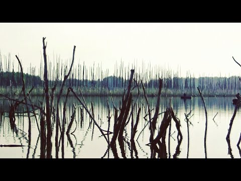 Видео: ТРЕУСТАН РЫБАЛКА НА КРУЖКИ И ПРУЖИНЫ  СЛОМАЛО ПАЛАТКУ ОКУНЬ МОНСТР НА КУКУРУЗУ