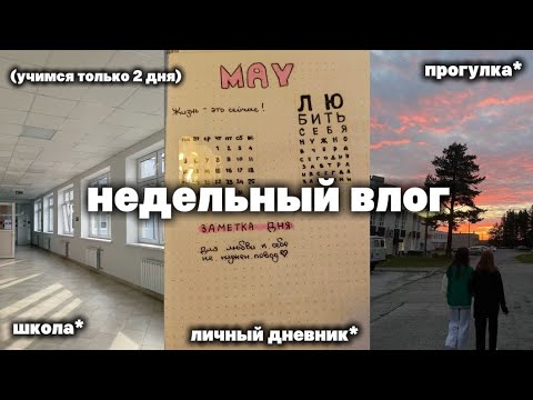 Видео: vlog—полушкольная неделя✨/неделя влогов/просмотр мультфильмов/длинное видео/прогулки/@anivlogis