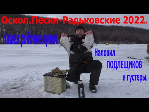 Видео: Оскол.Пески - Радьковские 2022.Нашел рабочие лунки, наловил подлещиков и густеры.