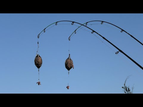 Видео: Рыбалка на СНАСТЬ АРБУЗ🍉🍉🍉КАРАСЬ ИДЁТ!!!