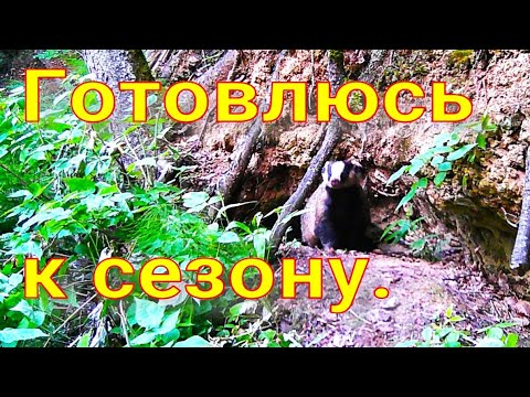 Видео: Обошёл четыре барсучьих городка барсук есть попытка рыбачить на таёжной реке Аркан поправляется 