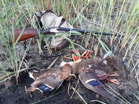 Видео: УДАЧНОЕ ОТКРЫТИЕ ОХОТЫ НА УТКУ 2020