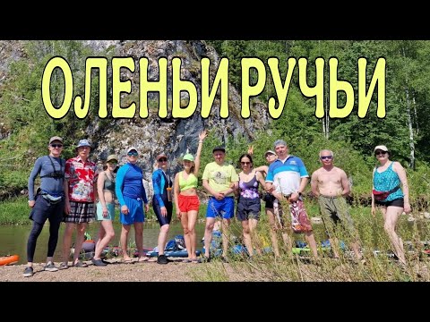 Видео: Оленьи ручьи, река Серга. 31 мая 2025 г.