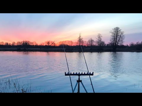 Видео: Весенний фидер, Вимба + Лещ | Как и на что клюет Вимба она же (Рыбец, Сырть) | Vimbu cope Lielupē