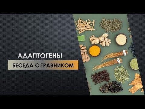 Видео: АДАПТОГЕНЫ - БЕСЕДА С ТРАВНИКОМ \ Умный Атлетизм - научный и духовный подход