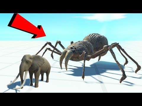 Видео: ЭТОТ ПАУК БОЛЬШЕ СЛОНА! ОБНОВЛЕНИЕ | Animal Revolt Battle Simulator