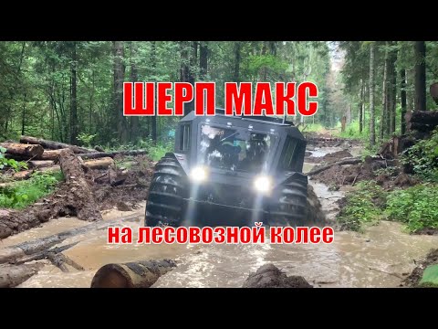 Видео: На Шерпе по лесовозной колее, конечно засадили...