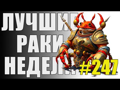Видео: ЛРН выпуск №247 🤪 ИДЕАЛЬНОЕ РАКООБРАЗИЕ и ЧЕТЫРЕ ОТМЕТКИ НА СТВОЛЕ [Лучшие Раки Недели]