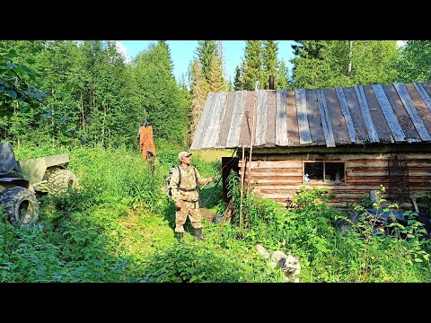 Видео: ЗАЕЗЖАЕМ В ТАЙГУ НА ГРАНДИОЗНУЮ РЫБАЛКУ ПО ХАРИУСУ / ПРЕОДОЛЕВАЕМ РЕКУ НА КАРАКАТЕ / ПСИХУЕМ НЕ ХИЛО